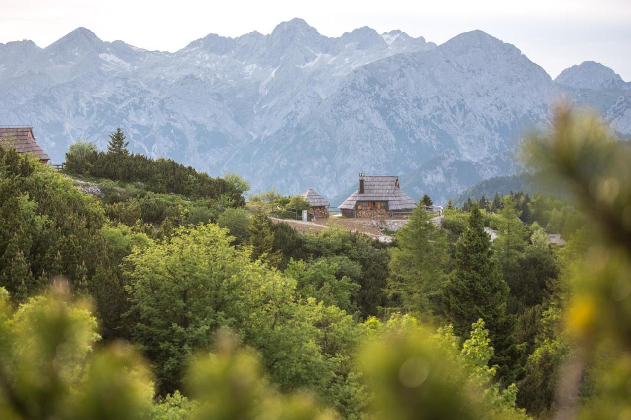 Villa Koca Ojstrica - Velika Planina à Stahovica Extérieur photo